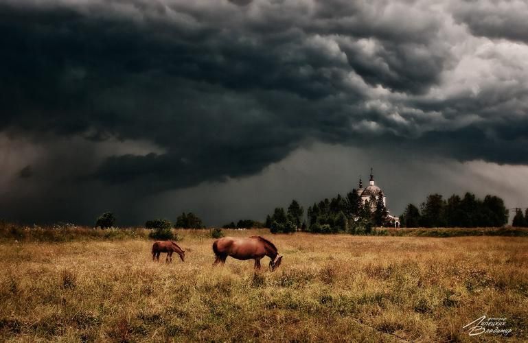 Души уют: вдали от суеты