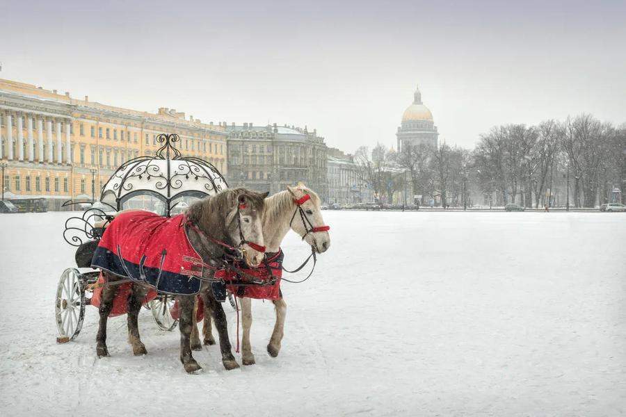 Выборг в Рождество: средневековая атмосфера и зимние чудеса