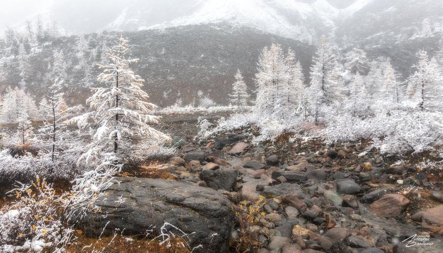 Алтайские сокровища природы