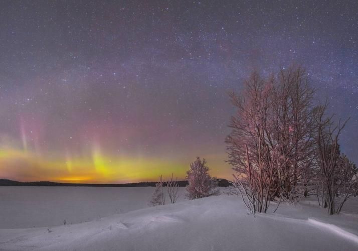 Сказка без слов: только лес, вода, тишина и твой вдох