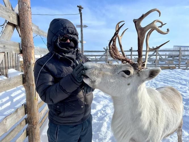 Северный край земли