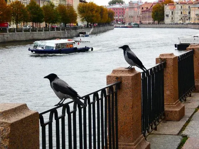 Феерия Алых Парусов в Санкт-Петербурге (промо)