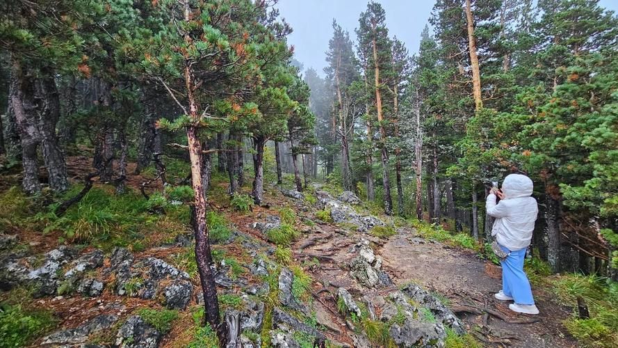 Адыгейская палитра: от лазурных водопадов до альпийских лугов