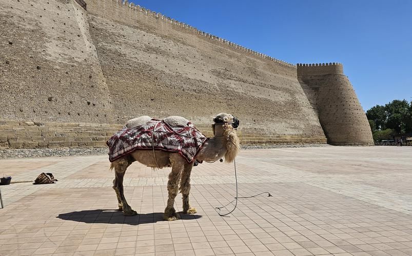 Согдийские тайны и хорезмские легенды