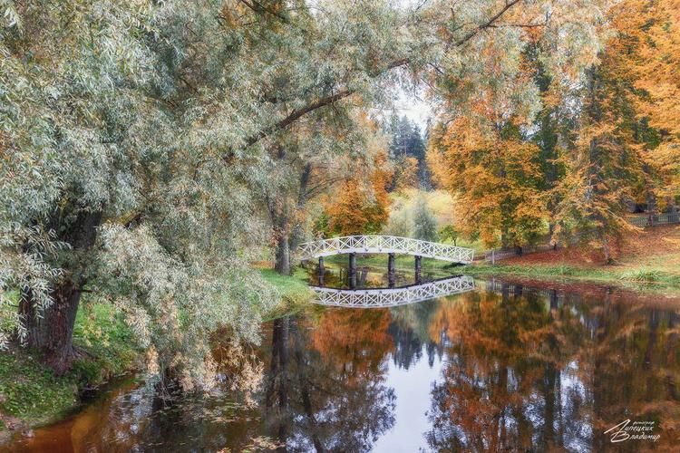 Автобус| Сердце Кузбасса