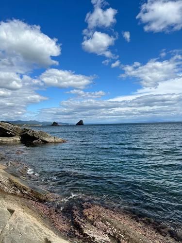 Море вкуса: гастропутешествие по Владивостоку