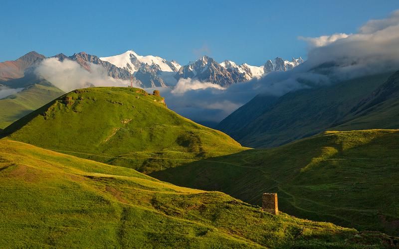 Цвета весны: странствие по Алтаю