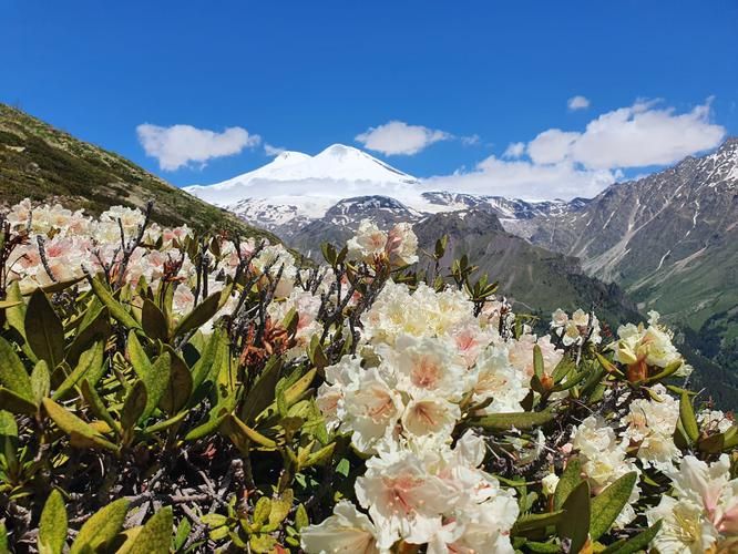 Это Кавказ — горы, дух, огонь