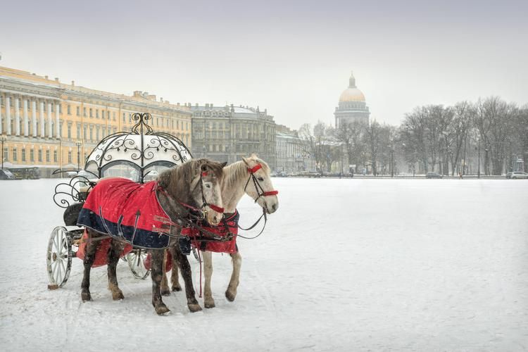 Петербург, где барокко шепчет с северным ветром