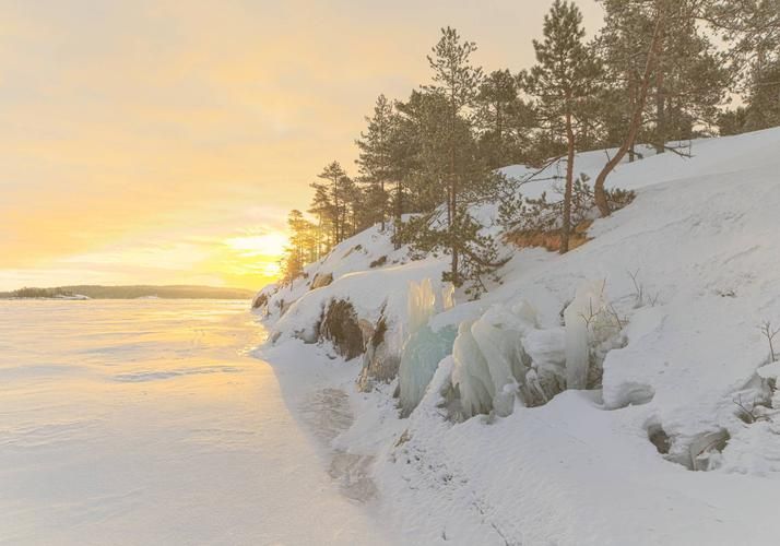 Новогоднее сердце Черноземья