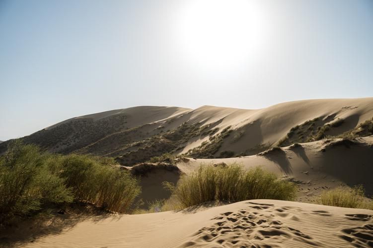 Шелковый путь в новом свете