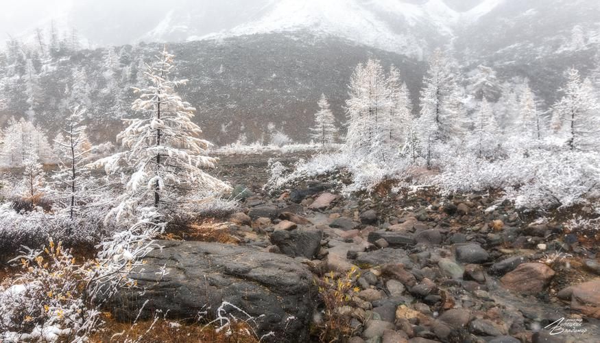 Новогодний праздник в сердце Кавказа