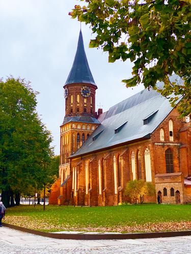 Янтарный Вояж (промо)