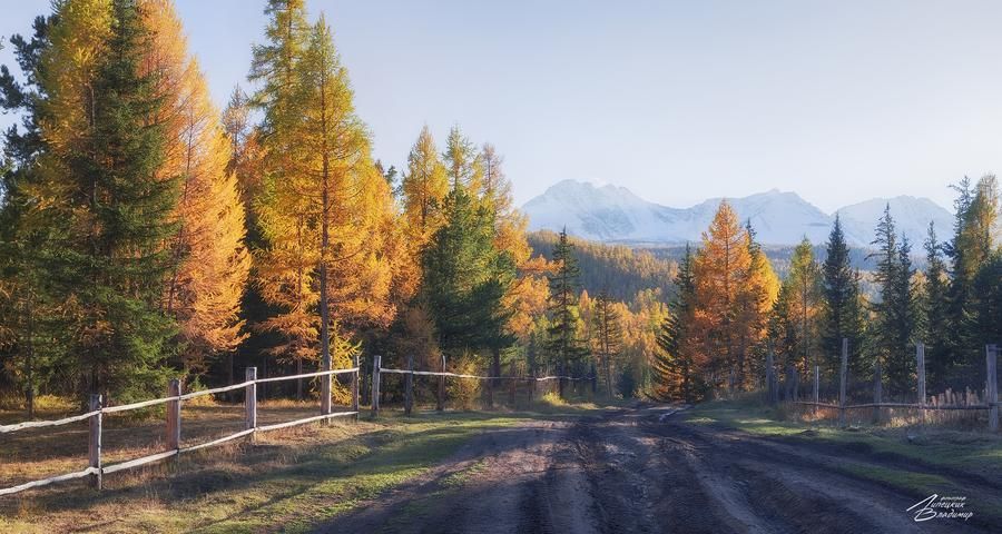 Весна по-приморски: во Владивосток на цветение сакуры! (промо)