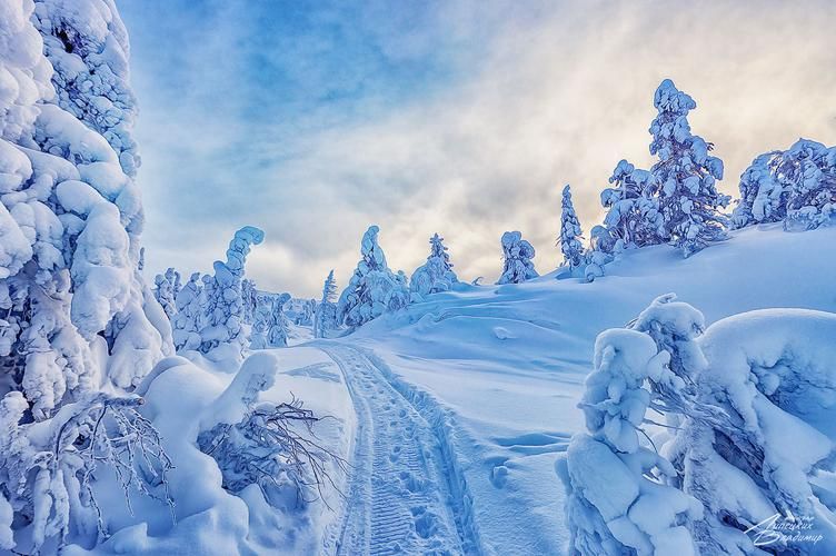 Новогодние праздники в Лермонтовских местах (промо)