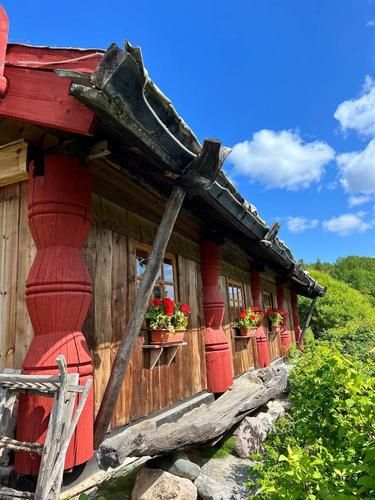 Автобус| Чары карельской земли