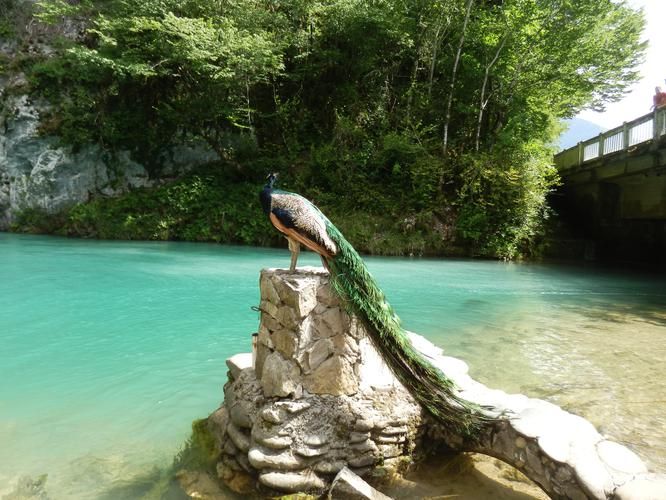 Кубань дарит солнце